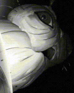 Heperu Alien Stage GIF - Heperu Alien Stage Lukas Alien GIFs