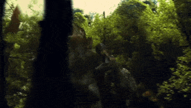 a couple of dinosaurs standing in a forest