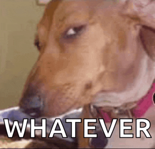 a brown dog with a pink collar is eating from a bowl with the words whatever written on it