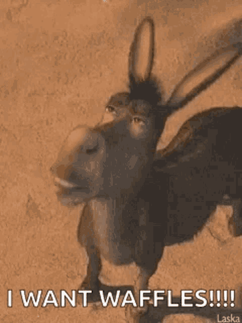 a donkey is running in the desert and says `` i want waffles ! ''