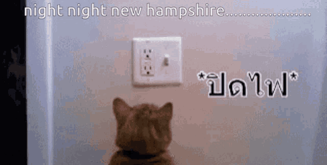 a cat is looking at a light switch with the words night night new hampshire written above it