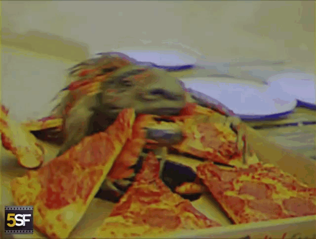 a lizard is laying on a pile of pizza with a 5sf logo on the bottom right