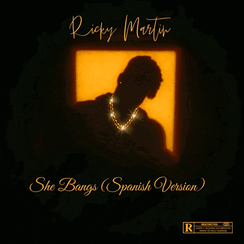 ricky martin 's she bangs spanish version album cover