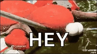 a close up of a red object with the words hey written on it .