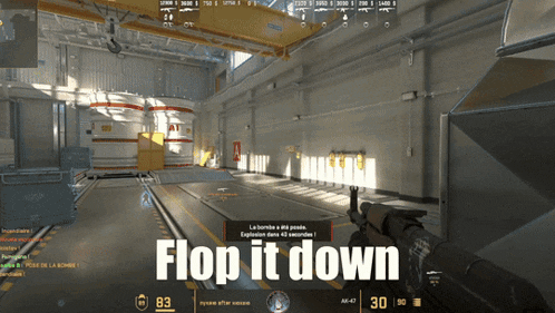 a screenshot of a video game with the words flop it down on the bottom