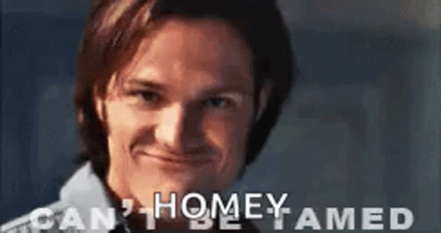 Supernatural Sam Winchester GIF - Supernatural Sam Winchester Cant Be Tamed GIFs