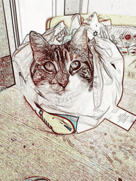 a cat is wrapped in a plastic bag with a label that says ' a ' on it