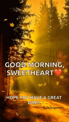 a picture of a forest with the words `` good morning sweetheart hope you have a great day ''