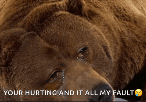 a brown bear with tears coming out of its eyes and the words " your hurting and it all my fault " above it