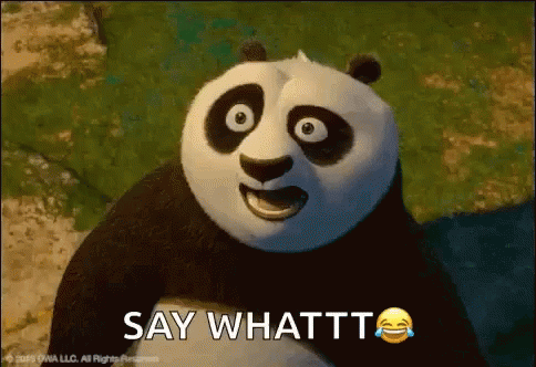 Po Say What GIF - Po Say What Kung Fu Panda GIFs