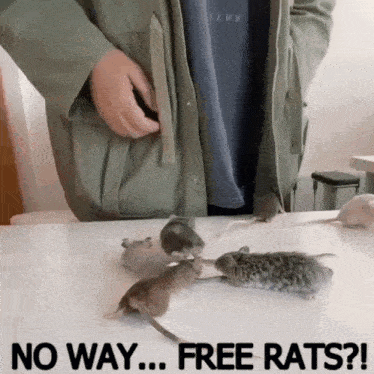 a man standing next to a bunch of mice with the words " no way free rats " below him