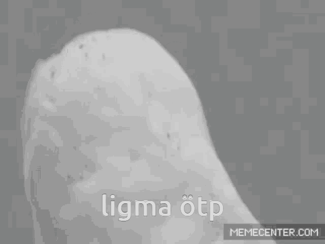 a black and white photo of an owl with its mouth open and the words ligma otp on the bottom .