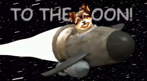 Kimbo Doge GIF - Kimbo Doge Doge Meme GIFs