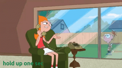 Phineas And Ferb Hold Up One Sec GIF - Phineas And Ferb Hold Up One Sec Phineas And Bruh GIFs