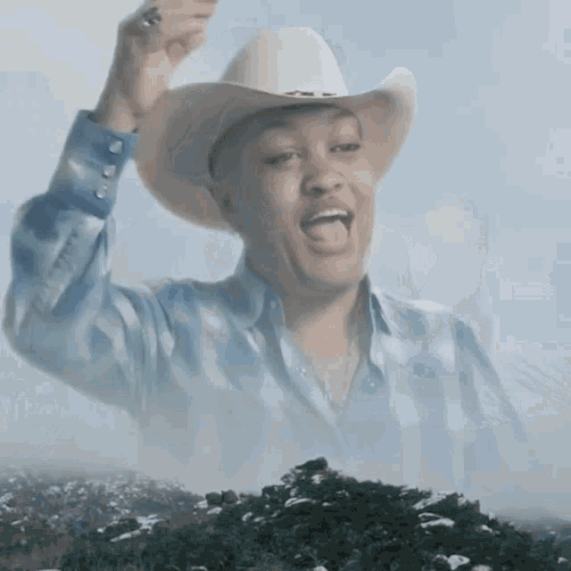 a man wearing a cowboy hat and a plaid shirt is standing in front of a mountain