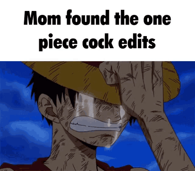 a crying monkey d luffy with the words mom found the one piece cock edits on the bottom