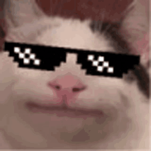 a close up of a cat wearing sunglasses with a pixelated face .