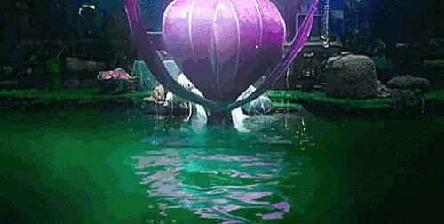 a mermaid is swimming in a pond with a purple flower floating in the water .