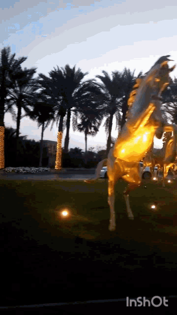 a statue of a horse is lit up in a video that says ' inshot ' at the bottom