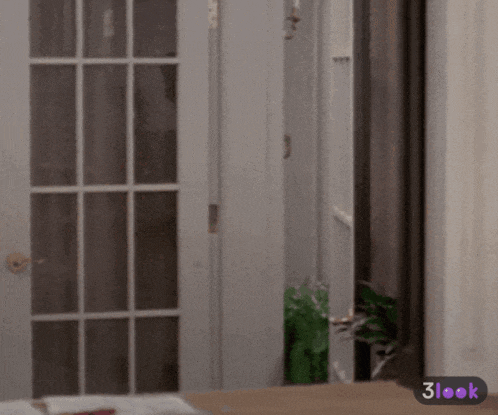 a blurred image of a door with the words 3look on the bottom right