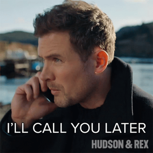 Ill Call You Later Charlie Hudson GIF - Ill Call You Later Charlie Hudson Hudson And Rex GIFs