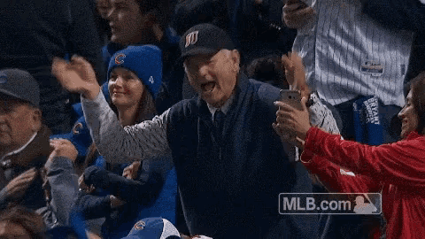 Cheering Baseball GIF - Cheering Baseball Bill Murray GIFs