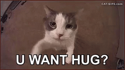 Cat Hug GIF - Cat Hug U Want Hug GIFs