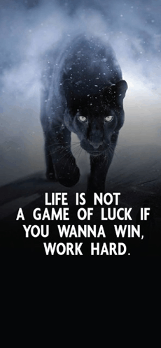 Life Quotes Inspirational Quotes About Life GIF - Life Quotes Inspirational Quotes About Life GIFs