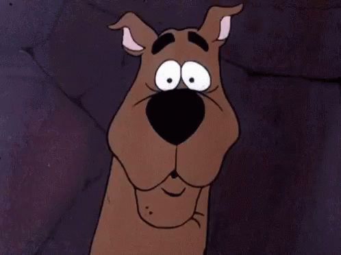 Scooby Doo Rohruh GIF - Scooby Doo Rohruh Ruhroh GIFs
