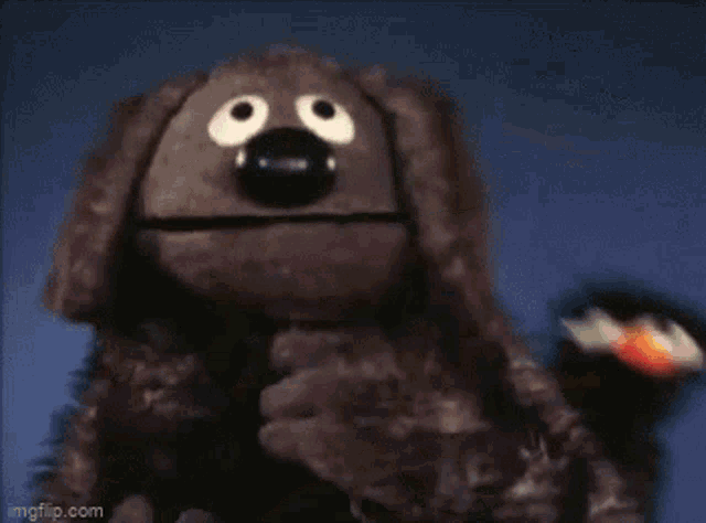 Muppet Muppets GIF - Muppet Muppets Rowlf The Dog GIFs