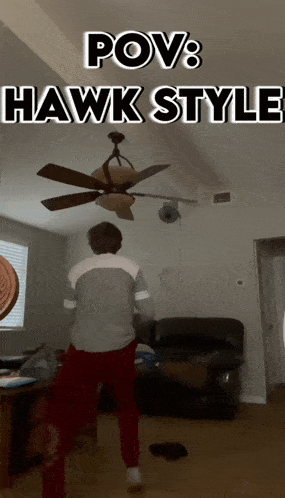 Hawk GIF - Hawk GIFs