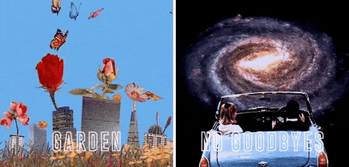 a picture of flowers and a picture of a car with the words garden and no goodbyes on it