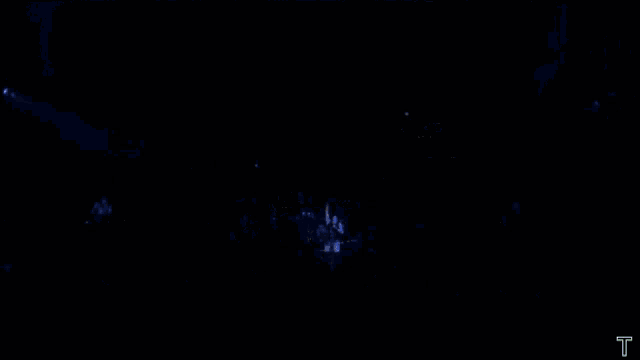 a crowd of people watching a concert with the letter t on the bottom