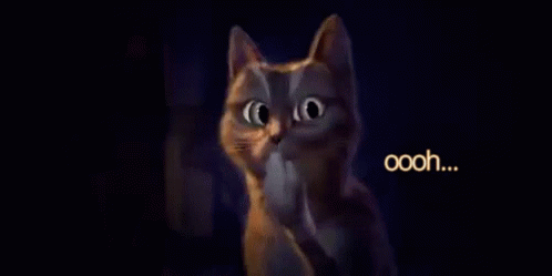Oohhh Snap GIF - Oohhh Snap Cat GIFs