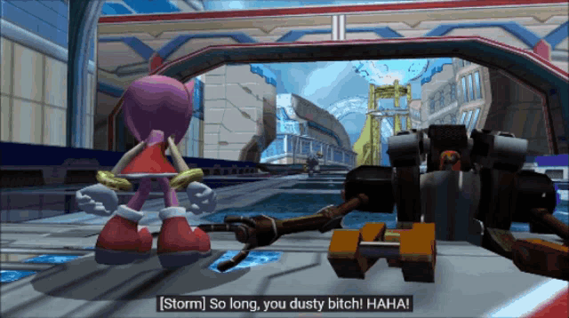 a screenshot of a video game that says " storm so long you dusty bitch "