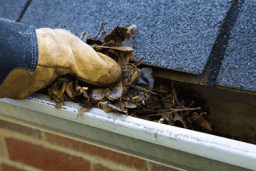 Gutter Cleaning And Repair Service Gutter Installation North Port Fl GIF