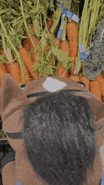 a stuffed horse is standing in front of carrots and celery