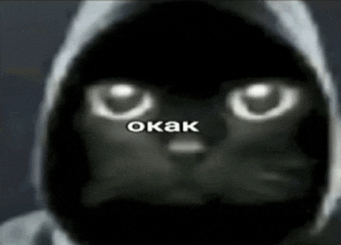 a black cat wearing a hooded jacket with the word okak written on its face