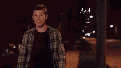 Shawn😍 GIF - Shawn Mendes Music Video Lyrics GIFs