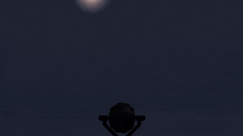 a silhouette of a person holding a globe in front of the sun