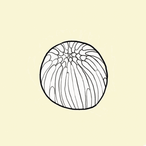 a drawing of a flower with a face in the center .