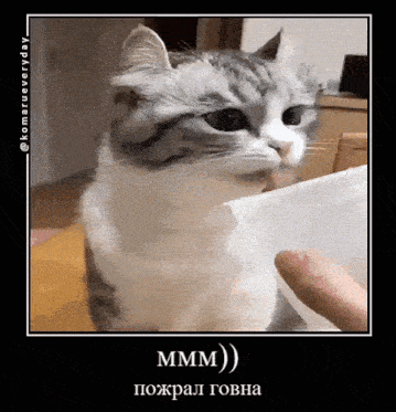 a cat licking a piece of paper with a caption that says ' mmmm '