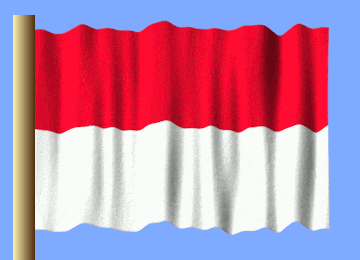 a red and white flag is waving in the wind on a blue background