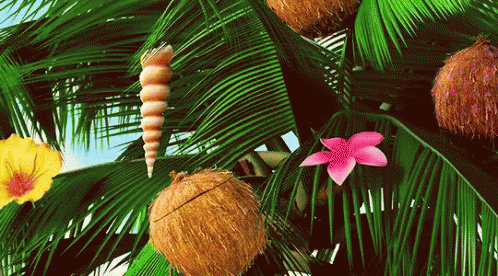 Moana Maui GIF - Moana Maui Christmas GIFs