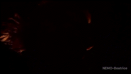 a close up of a man 's face with fangs and the words nemo-beatrice on the bottom
