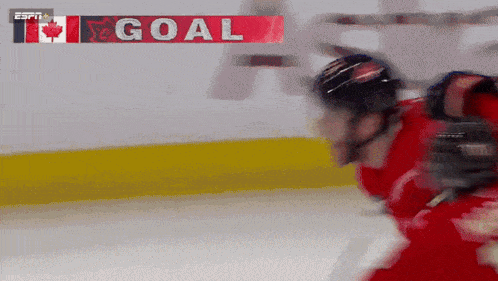 a hockey player is on the ice with a goal banner above him
