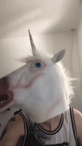 Horse Mask Mask GIF - Horse Mask Mask Unicorn Mask GIFs