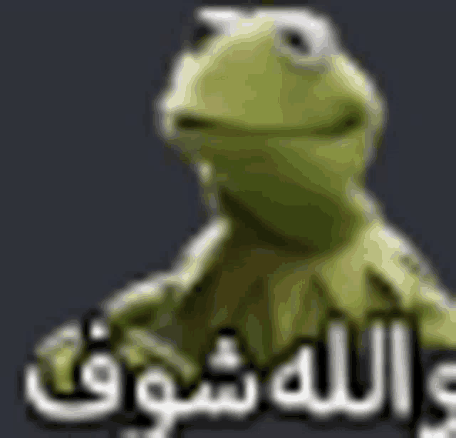 a green kermit the frog is standing in front of a gray background with arabic writing .