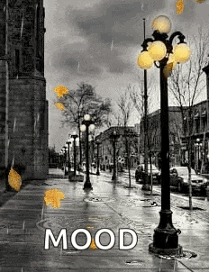 a black and white photo of a city street with a street light in the foreground and the word mood in the background .