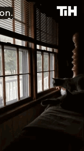 Glass Window This Is Happening GIF - Glass Window This Is Happening Jump GIFs